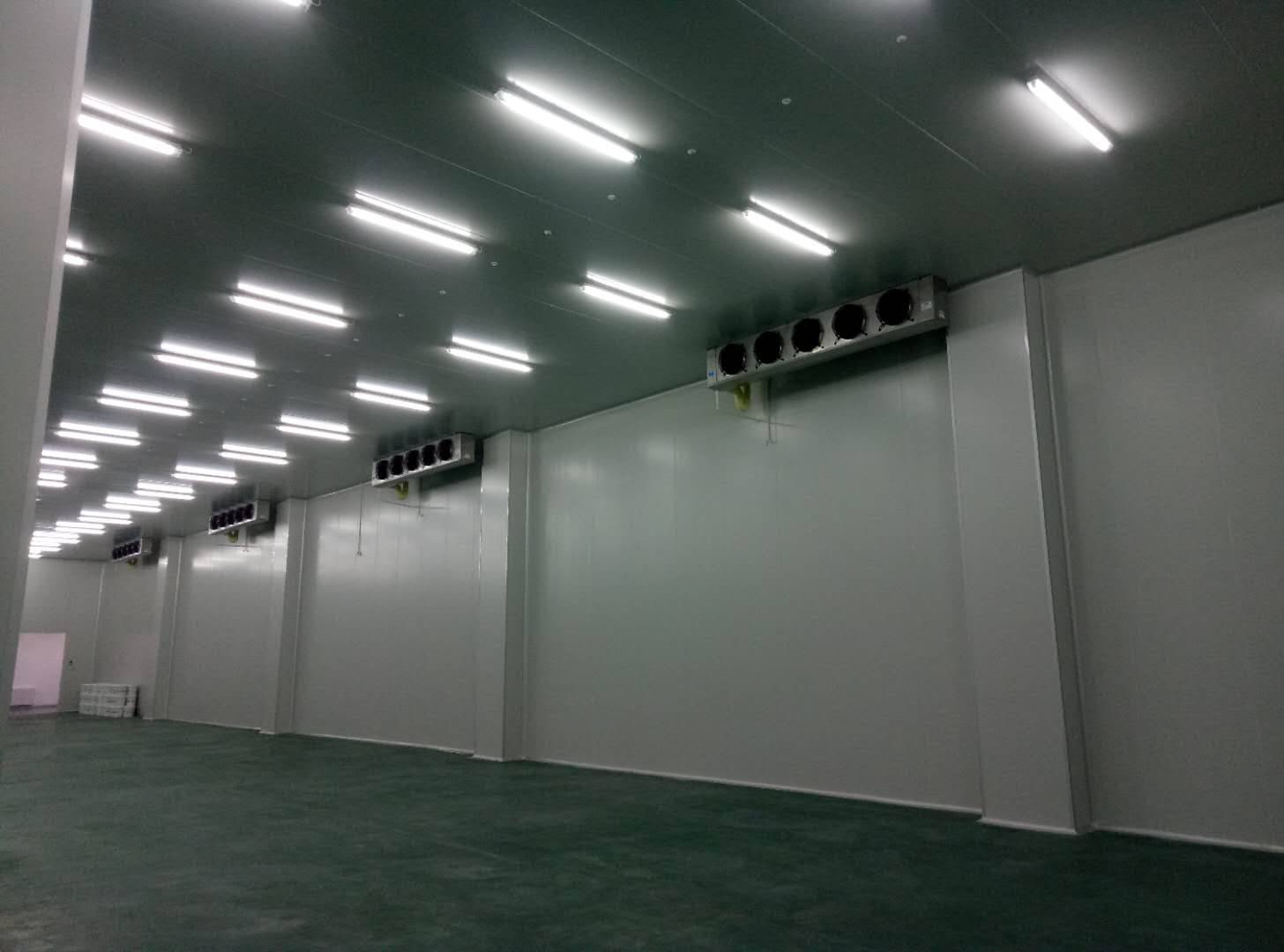 建造-35℃～-40℃急凍庫設計費用價格多少錢？