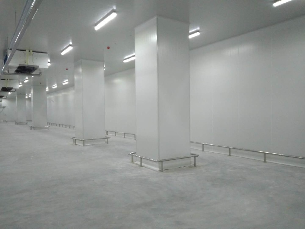 建造200噸的肉類冷鏈冷凍庫如何做好規(guī)劃設(shè)計(jì)？