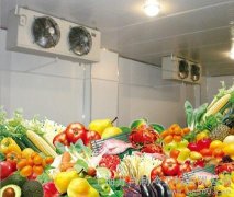 安裝一座冷庫存放蔬菜需要多少錢，造價多少
