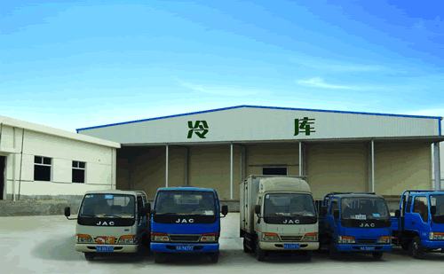 大型冷鏈物流冷藏車，果蔬冷庫安裝設計·