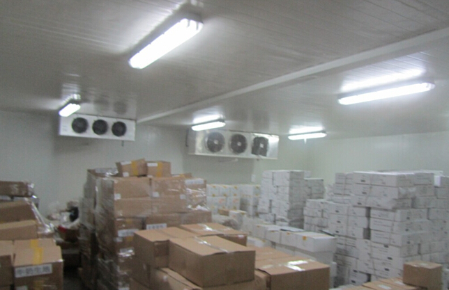 -18~-25℃冷凍榴蓮肉冷庫設(shè)備，冷庫造價(jià)及耗電量多少/天
