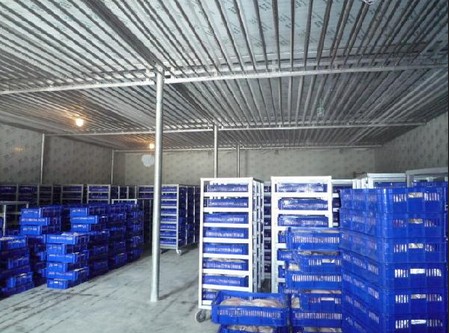 -18~-23℃冷凍庫哪種制冷方式好？（冷風(fēng)機(jī)，鋁排）
