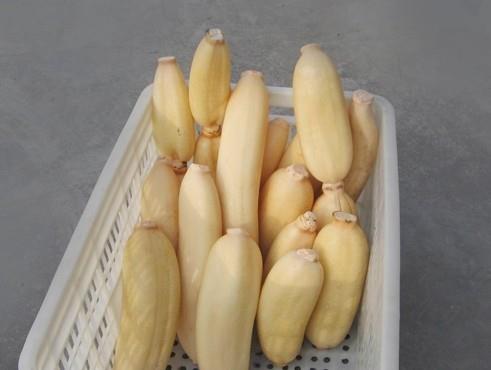 建造蓮藕冷藏庫(kù)多少錢(qián)一平，100噸的蓮藕要多大庫(kù)