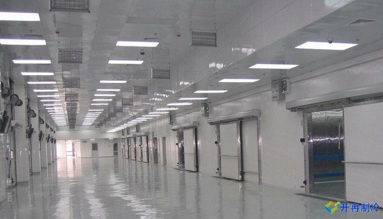 建造500噸帶魚低溫冷庫，海鮮冷凍庫報價