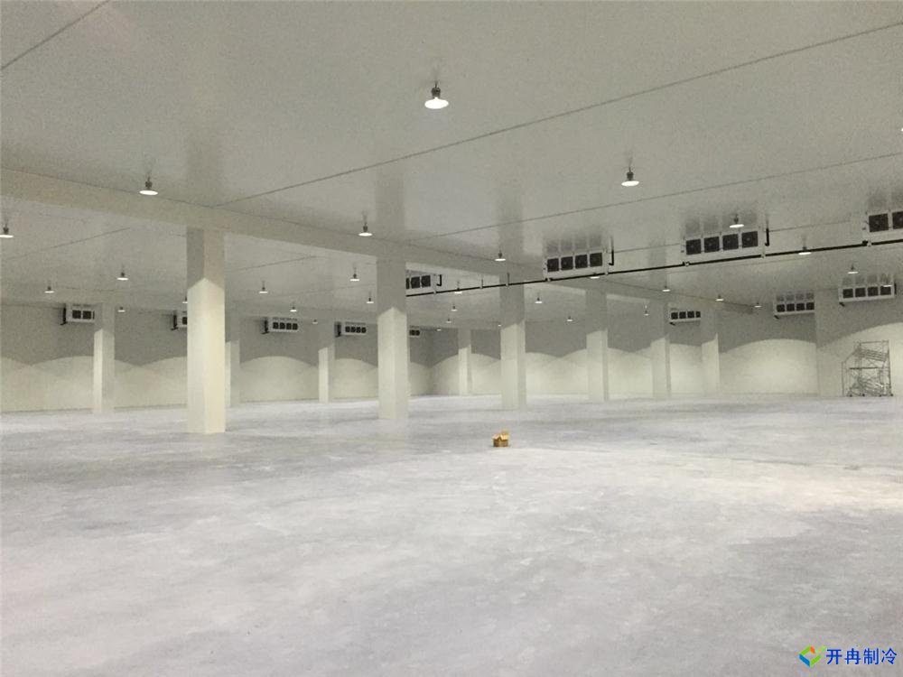 浙江建-60℃金槍魚(yú)超低溫冷庫(kù)，冷庫(kù)總價(jià)預(yù)算多少
