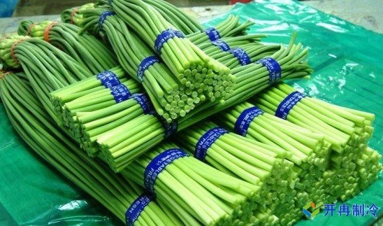 3000噸蒜薹冷庫(kù)前期規(guī)劃，冷庫(kù)造價(jià)預(yù)算多少錢