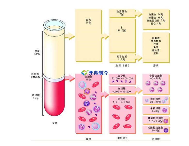 -30℃～-80℃血漿蛋白低溫冷凍庫規(guī)范，冷庫安裝價格